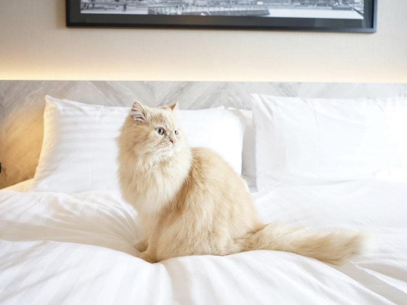 Oakwood Suites Yokohama