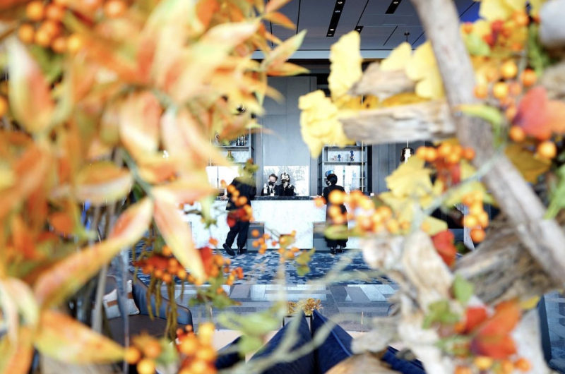 COLOURS. / Mesm Tokyo Autograph Collection