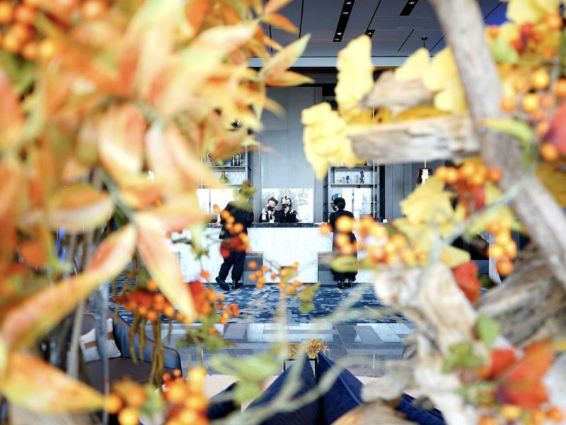 COLOURS. / Mesm Tokyo Autograph Collection